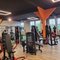 MYGYM Thale