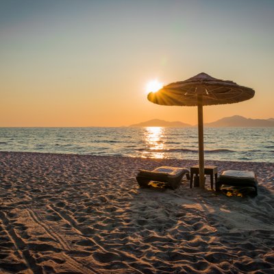 AdobeStock_1204214995