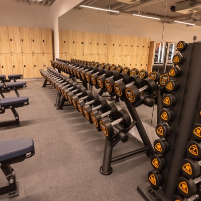 Kurzhanteltraining bei MYGYM